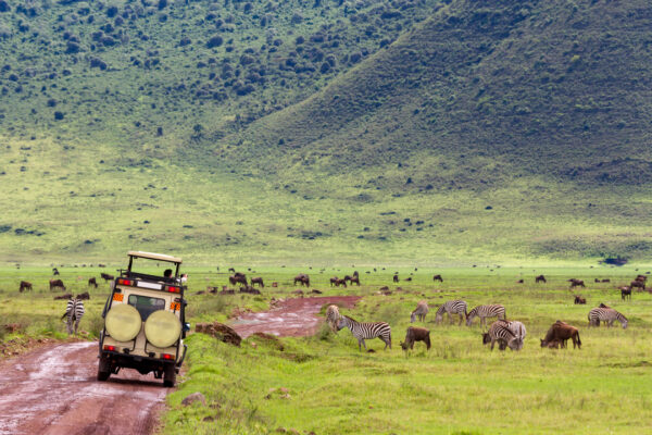 3 Days in the Wild: Safari from Zanzibar