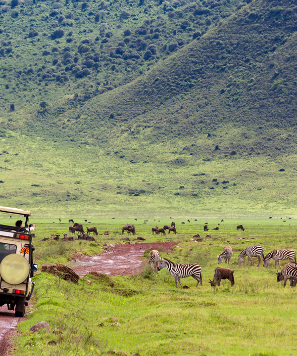 3 Days in the Wild: Safari from Zanzibar
