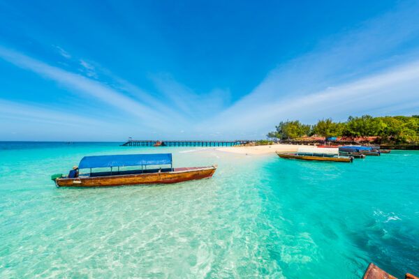 8-Day from Safari to Sea: Tanzania Big Five & Zanzibar Escape