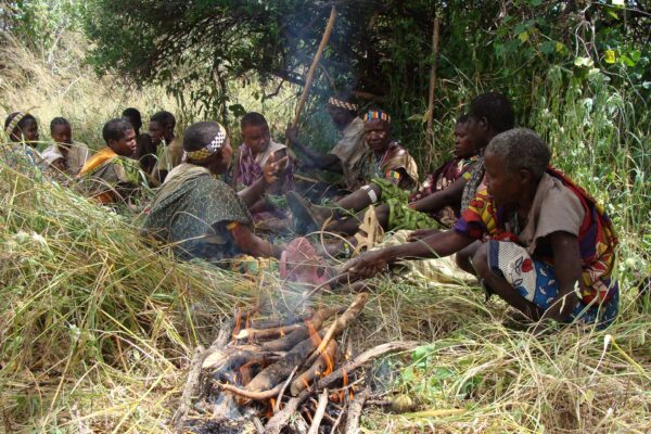 7-Day Tanzania Cultural Immersion & Ndutu Calving Safari Experience